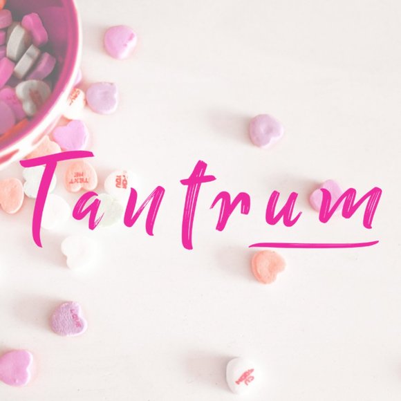 Tantrum Collection Ladies Luxury Horizontally Embroidered Jacket - Picture 6 of 17